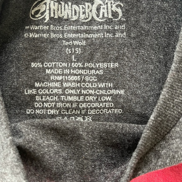 ThunderCats T-Shirt - Picture 2 of 3